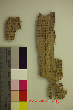 Papyrus 22 (John 15,25-16,2).jpg