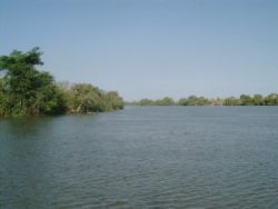 Der Gambia-Fluss in der Nähe der Baboon Islands.