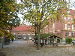 Der neugestaltete Schulhof 2008