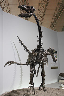 Skelettrekonstruktion von Erliansaurus