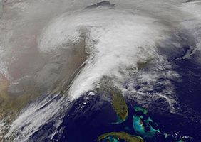 Satellitenbild vom 1. Februar 2011