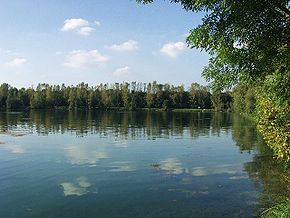 Puckinger See im Bezirk Linz-Land an einem spätsommerlichem Nachmittag