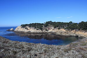 Bucht in Point Lobos
