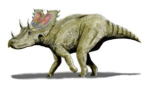 Lebendrekonstruktion von Agujaceratops