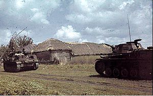 Deutsche Panzer II in der Kalmückensteppe