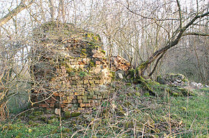Ruine der Burg Conerow