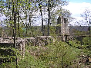 Zwinger und südwestliche Schildmauer der Burg Kaltenburg