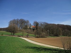 Burgruine Winterstein - Gesamtansicht von Südwesten