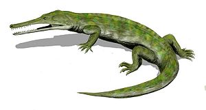 Champsosaurus lebte von der späten Kreide bis zum frühen Eozän in Nordamerika