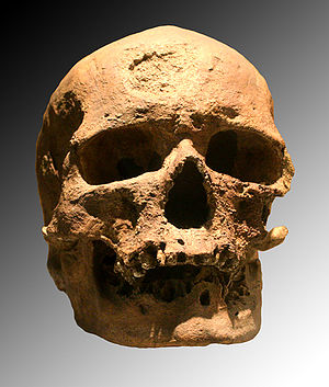 Schädel eines Cro-Magnon-Menschen