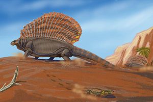 Lebendbild von Edaphosaurus pogonias