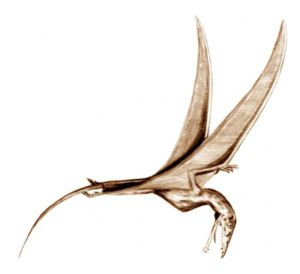 Eudimorphodon, Lebendrekonstruktion
