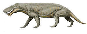 Lebendrekonstruktion von Gorgonops whaitsii