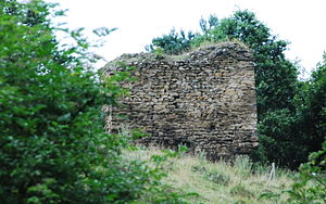 Reste der Burg 2010