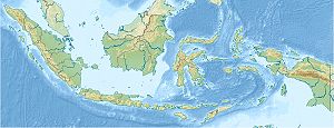 Gede (Vulkan) (Indonesien)
