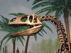 Fossilrekonstruktion von Megalosaurus