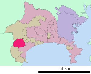 Lage Minamiashigaras in der Präfektur