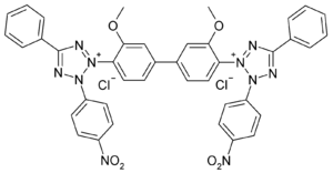 Strukturformel Nitroblau-Tetrazoliumchlorid
