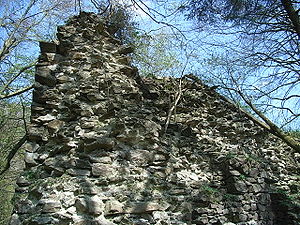Ruine Altjochenstein