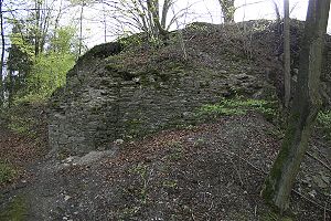 Ruine Burg Borghausen