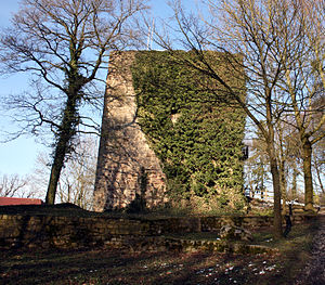 Die Ruine auf dem Limberg