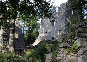 Die Ruine des Palas von Alt-Ems.
