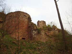 Die Ruine der Burg Schöneck