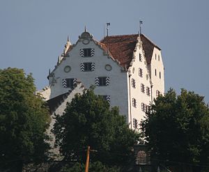 Schloss Wildegg (2011).