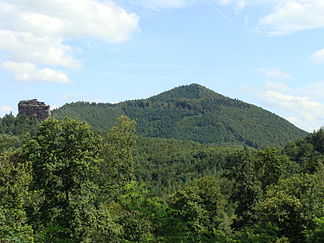 Rehberg (577 m) als höchster Berg des Wasgaus