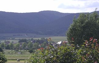 Der Eckkopf (Bildmitte), von Deidesheim aus fotografiert