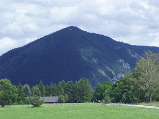 Der Himberg