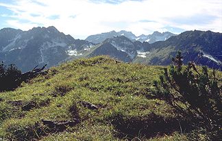 Blick vom Älpelekopf nach Südwesten zum Himmelschrofenzug. Gipfel von links nach rechts: Hinterer Wildgundkopf (am linken Bildrand), Vorderer Wildgundkopf (der scheinbar höchste Gipfel), Klupper (der niedrigste Gipfel), Himmelschrofen (der Gipfel im rechten Bildbereich)