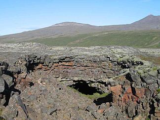 Strútur hinter der Höhle Viðgelmir