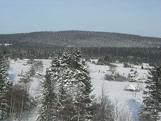 Blick auf den Langenberg im Winter vom Clemensberg