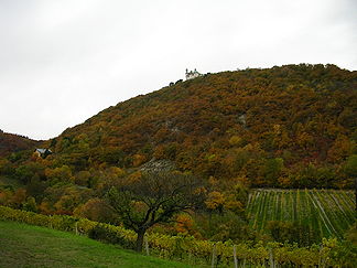 Leopoldsberg im Herbst