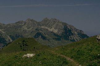 Alpkopf (der am weitesten rechts liegende Gipfel mit einer großen Wiese im Gipfelbereich) vom Gebiet der Rappenseehütte. Links daneben der Alpgundkopf, links der darauf folgenden Scharte der Roßgundkopf. Ganz links die Roßgundscharte. Links im Vordergrund der begraste Mußkopf