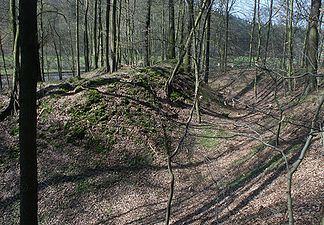 Zentralhügel und innerer Graben der Burgruine Sinzigburg