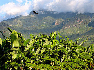 Uluguru Gebirge bei Morogoro