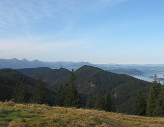 Wolfskopf (Waldkopf in Bildmitte) von Osten