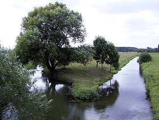 Mündung der Sachsenhäger Aue (re)