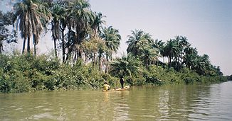Fischer-Boot am Gambia-Fluss bei Janjanbureh Island