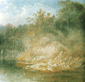 Waldansicht am Lehigh River in Pennsylvania. Detail eines Aquarells von Karl Bodmer 1832.