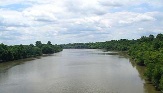 Der Kaskaskia River kurz vor der Mündung in den Mississippi