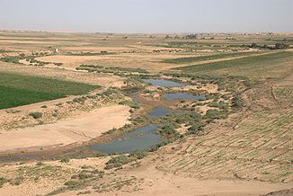 Mäandernder Unterlauf etwa 60 km vor der Einmündung in den Euphrat bei Tell Schech Hamad