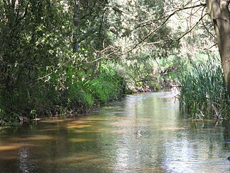 Little Yarra River in Yarra Junction