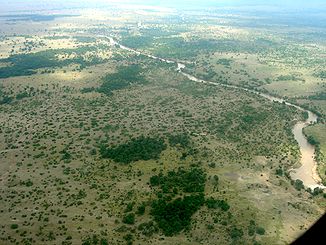 Luftbild des Mara in der Massai Mara, Kenia