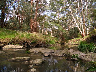 Mullum Mullum Creek in Mitcham (Melbourne)