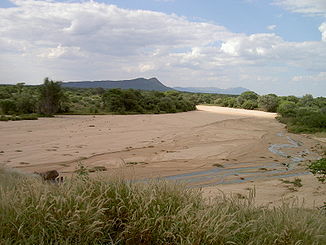 Flussbett des Omaruru-Riviers, rechts das Rinnsal einer Quelle