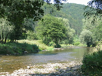 Der Fluss nahe Porúbka. (August 2007)