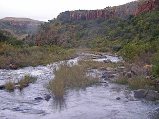 Die Schlucht nahe Carolina (Provinz Mpumalanga) am oberen Komati